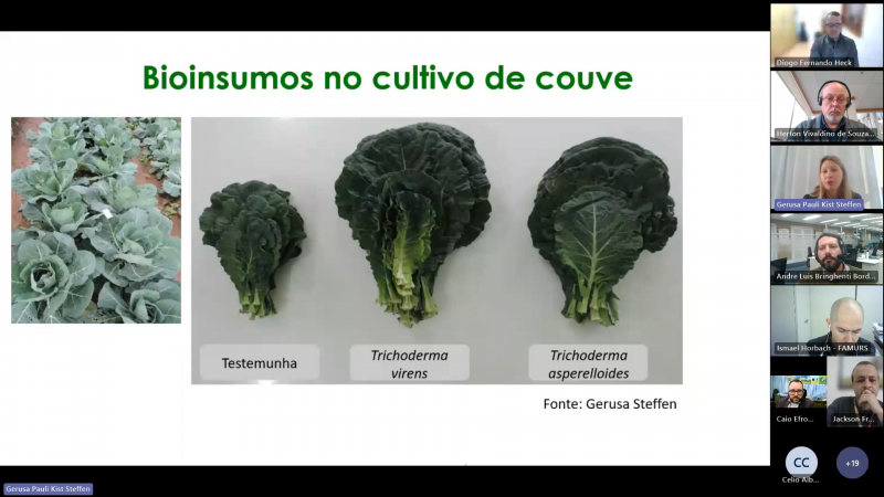 Uso De Bioinsumos Na Agropecu Ria Tema De Reuni O Do Comit Gestor Do