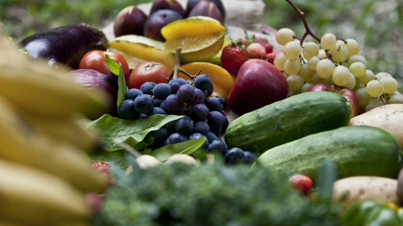 Grupo foi criado para debater, diagnosticar e propor ações sobre resíduos de agrotóxicos em frutas e hortaliças