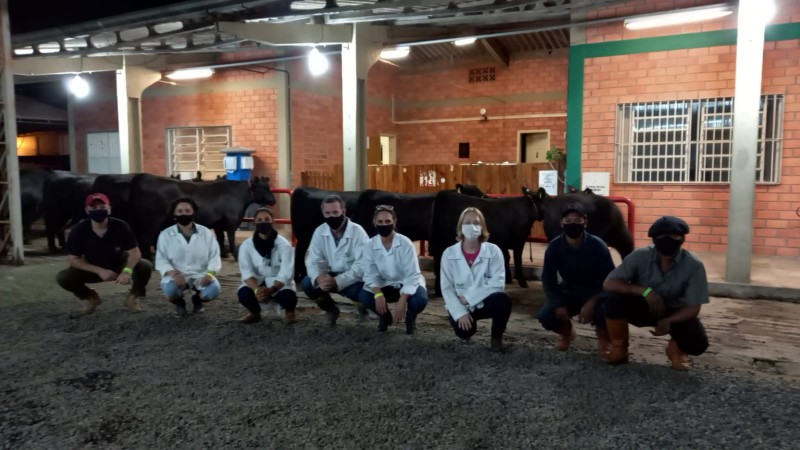 Chegada de animais de Santa Catarina no Parque Assis Brasil, em Esteio. Na foto, equipe da SEAPDR e tratadores