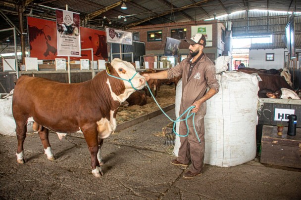 Animais da Fazenda Mãe Rainha, de Lages, Santa Catarina