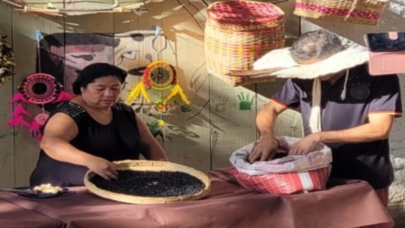 O feijão é um dos principais alimentos presentes na cultura indígena