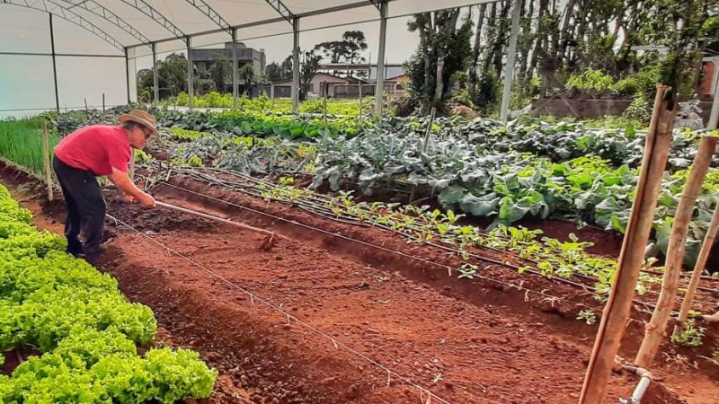 Produtores pessoa física poderão acessar financiamentos entre R$ 5 mil e R$ 15 mil.