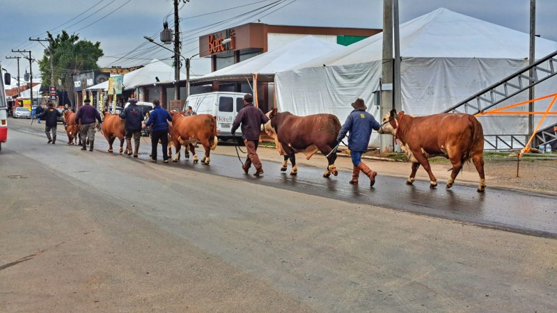 FIERGS na 45ª Expointer 