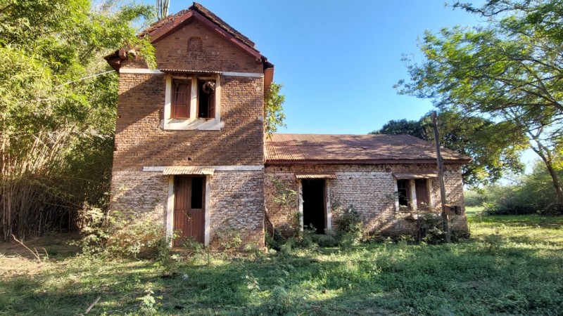 Casas abandonadas são um dos locais preferidos dos morcegos hematófagos