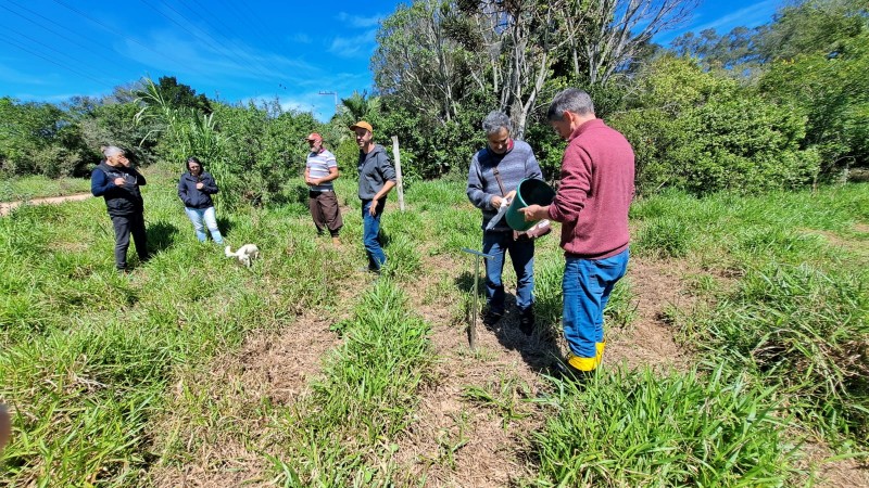 Rota do butiá, criada por gaúchos, ajuda a preservar palmeira nativa  ameaçada de extinção, Globo Rural