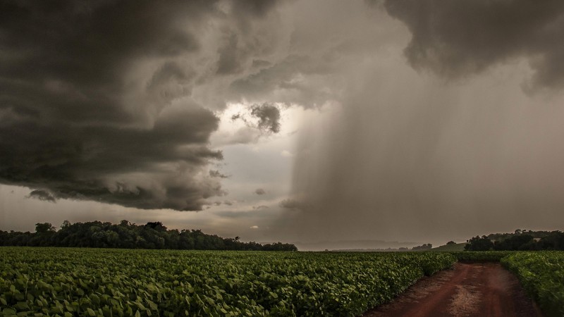 Campo de soja com nuvens carregadas de chuva