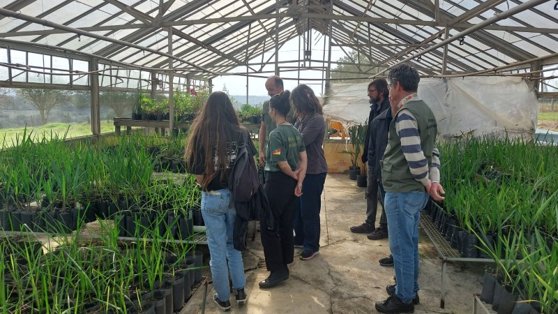 Visita da equipe da Sema ao viveiro onde são mantidas e cultivadas mudas de butiazeiros, que fica no CEPAQ em Viamão