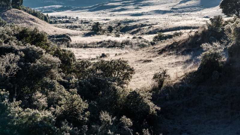 paisagem no inverno