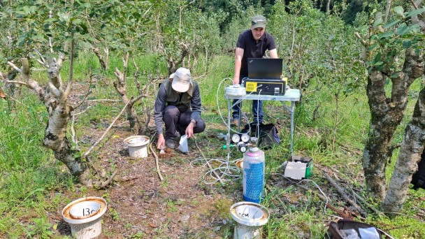 Coleta de amostras do solo para análise de estoque de carbono