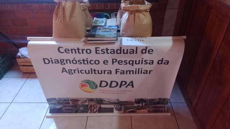 O Centro de Pesquisa distribuirá sementes de variedades de feijão do DDPA