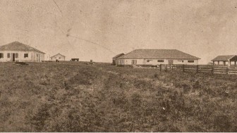 Vista do campo de multiplicação de sementes de Vacaria. Fonte: Jornal O Momento, 24 de junho de 1940.