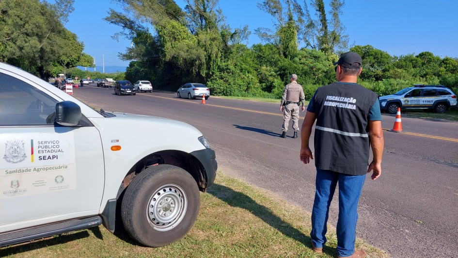 operção verão total