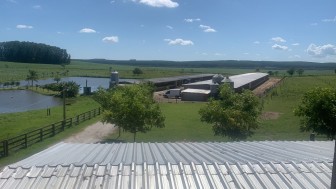 Produção de ovos coloniais vermelhos, em Rio Pardo, dobrou após registro no SIE/RS