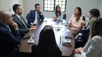 Leite intensifica articulações em Brasília por medidas em apoio ao agro gaúcho