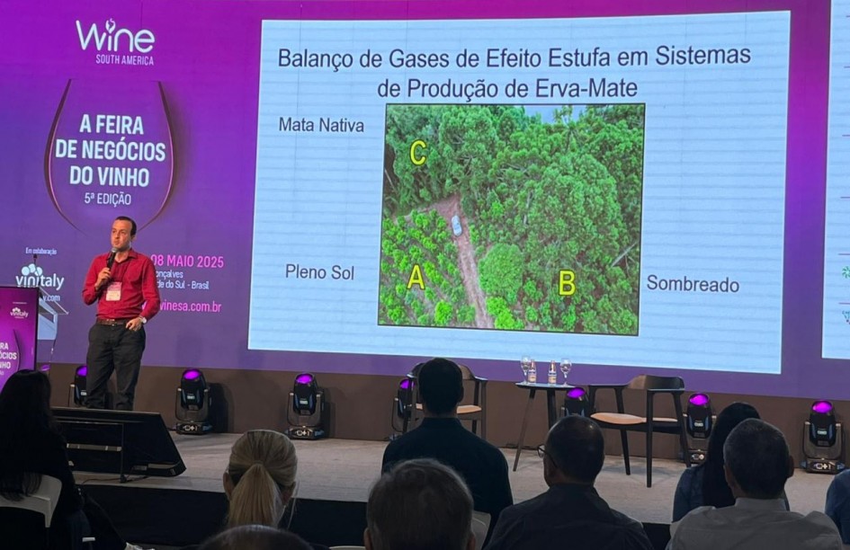 apresentação jackson Wine South America