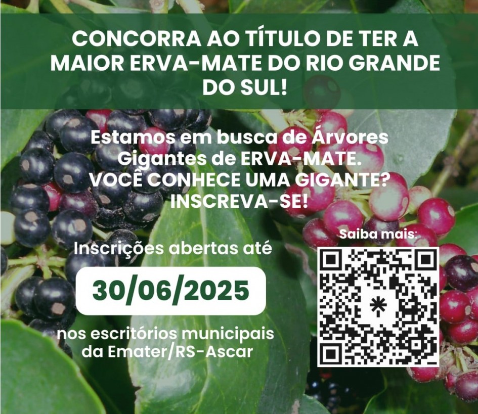 logo inscrições concurso erva mate