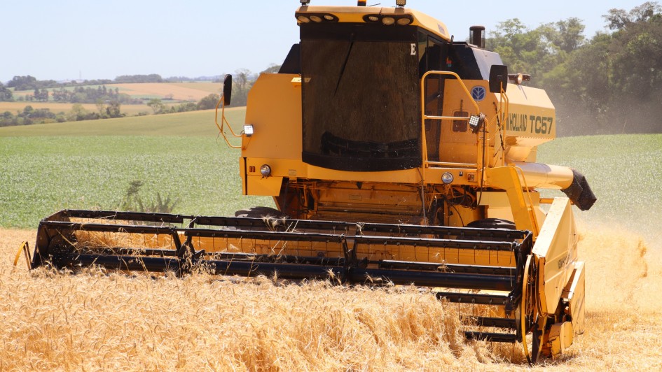 colheita de trigo RS