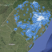 PLANTIOS FLORESTAIS RS   EUCALIPTO