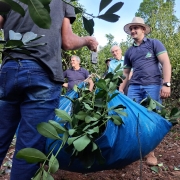 Curso de Boas Práticas Agrícolas em Barão do Cotegipe