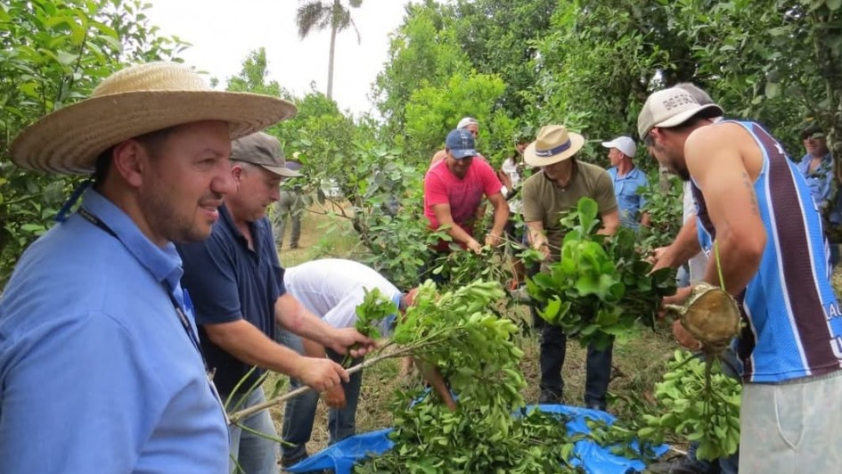 Curso de Boas Pr&aacute;ticas Agr&iacute;colas em Itapuca