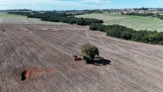 SOL   Tio Hugo   canola 2026   foto Claudio Carvalho   extensionista EmaterRSAscar  14 5