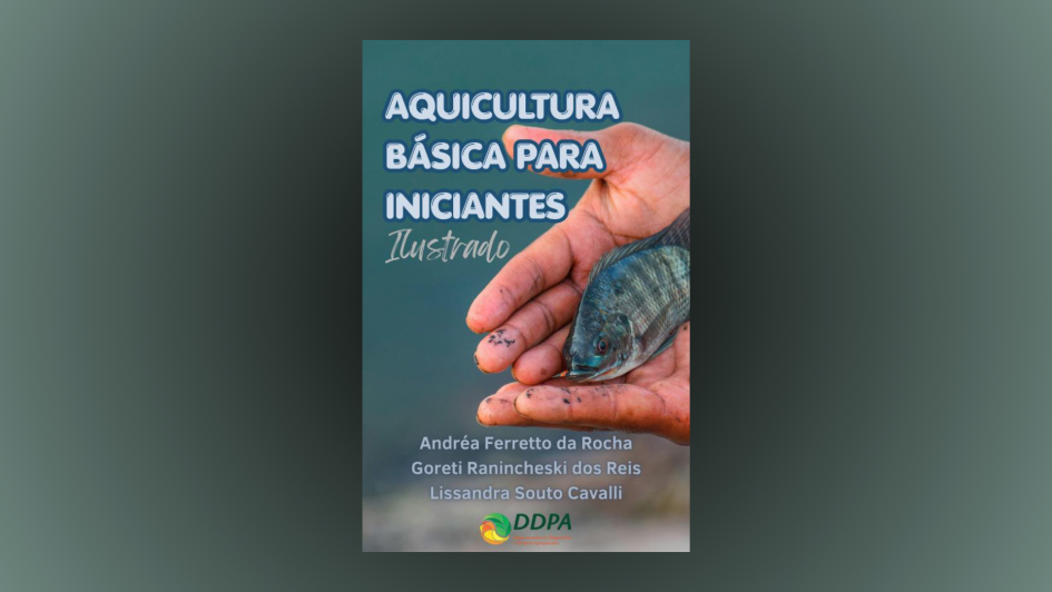 livro aqui