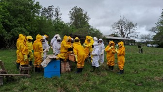 Servidores praticaram coleta a campo e utiliza&ccedil;&atilde;o do aplicativo AgroTag